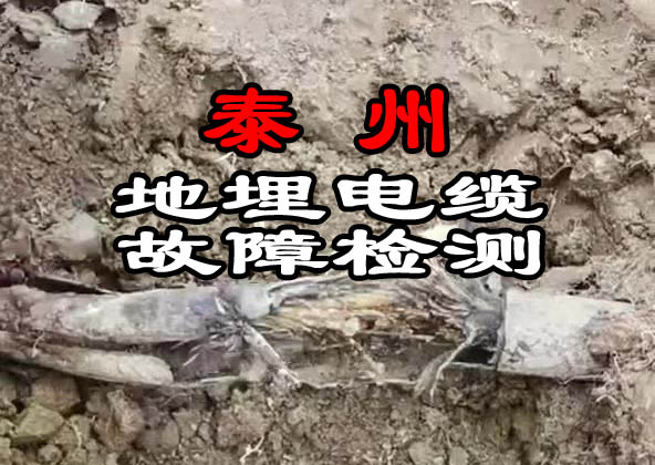 泰州地埋電纜故障檢測